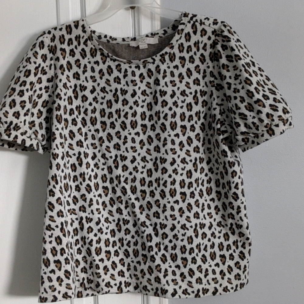 Loft 16/18 leopard print top